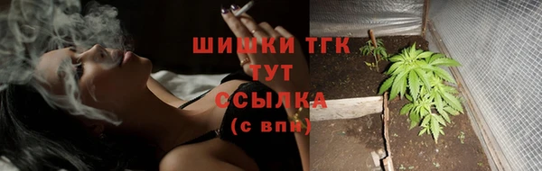 индика Карталы