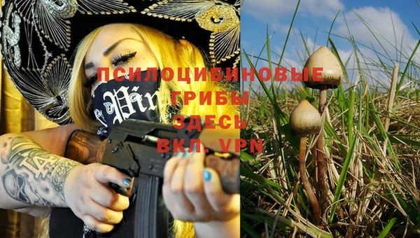 прущая мука Касимов