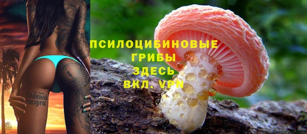 прущая мука Касимов