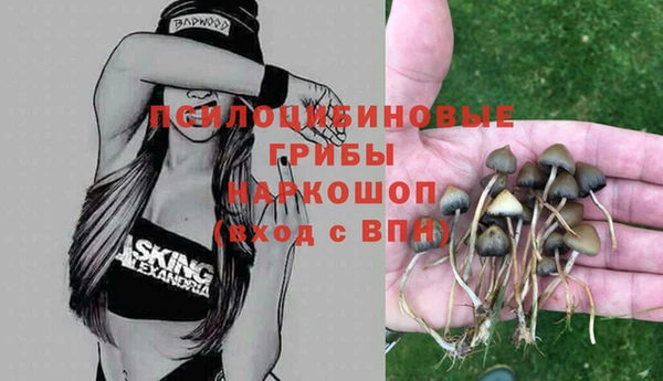 индика Карталы
