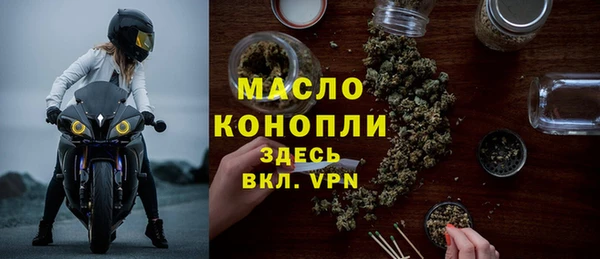индика Карталы