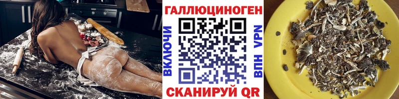 Купить закладки  Лыткарино  Галлюциногенные грибы Cubensis 