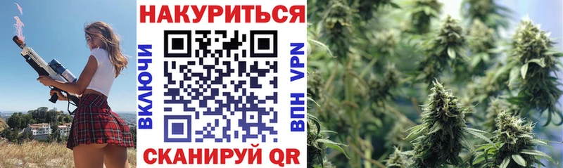 Купить  Лыткарино  МАРИХУАНА план 